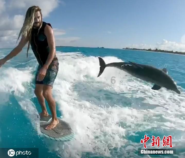 海之号角神秘海怪