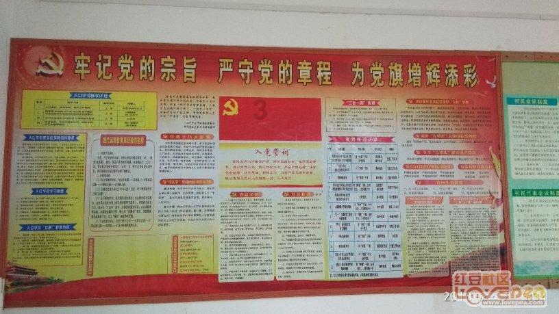 守望先锋电竞